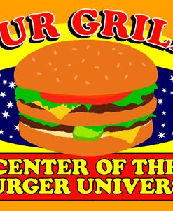 Burger Universe