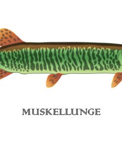 Muskellunge