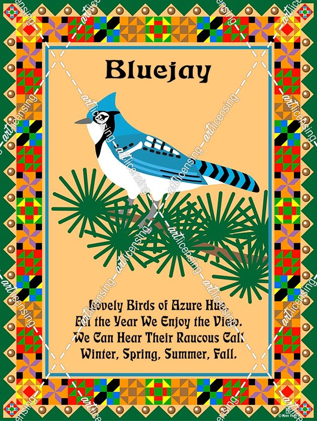 Blue Jay Quilt