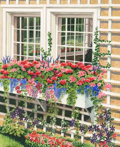 Butchart Gardens Window Box