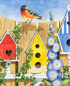 Bird House Row