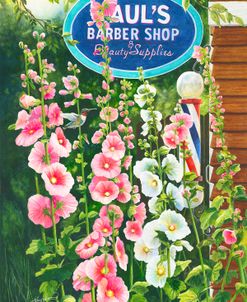 Hollyhocks and A Hummer