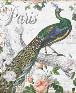 Paris Peacock