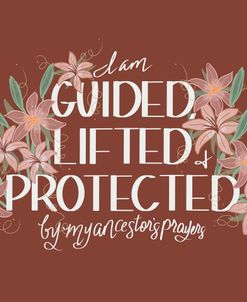 Guided Lifted Protected