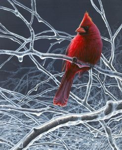 Fire and Ice – Cardinal