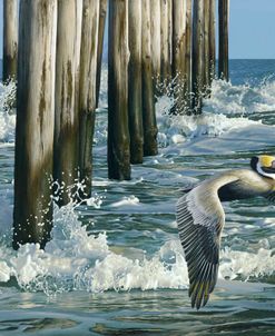 Fishing Pier – Pelican