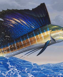 Splashdown – Sailfish