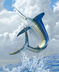 White Marlin