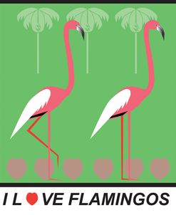 I Love Flamingos