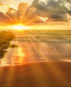 Cartagena Sun Burst