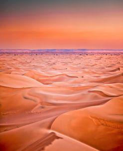 Serenity In The Sahara