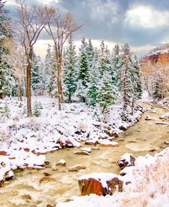 Uncompahgre Snow