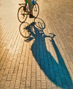 Bicycle Shadows