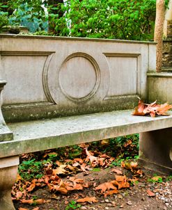 Churchyard Bench