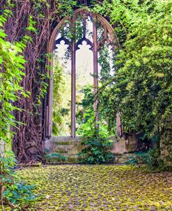 Nature’s Growth In St Dunstan In The East