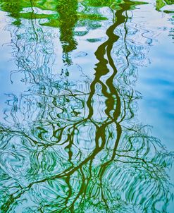 Tree Reflection