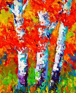 Birch Three