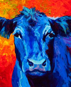 blue cow