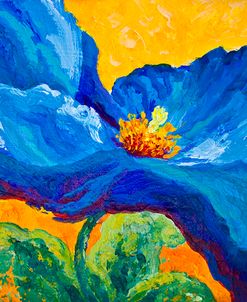 Blue Poppy 2