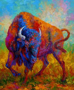 Bison Bull 1