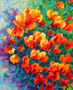 California Poppies