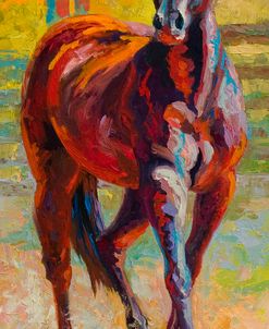 Corral Boss
