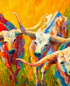 Dance Of The Longhorns