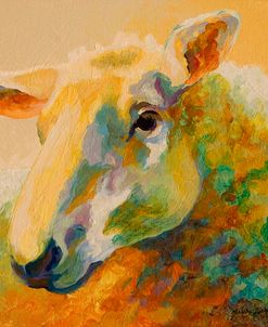 Ewe Study III