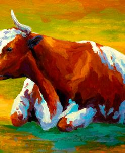 Longhorn Cow