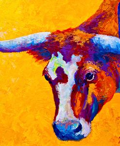 Longhorn Portrait