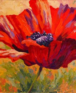 Red Poppy II