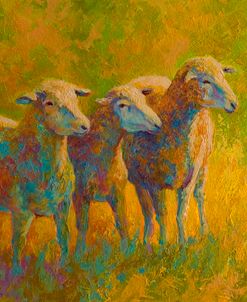 Sheep Trio