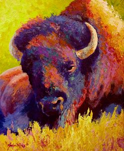 Timeless Spirit Bison