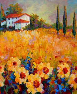 Tuscan Sunflowers