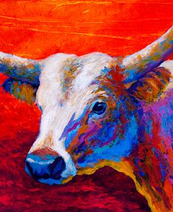 Sunset Ablaze Longhorn