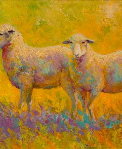 Warm Glow Sheep Pair