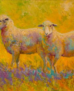 Warm Glow Sheep Pair