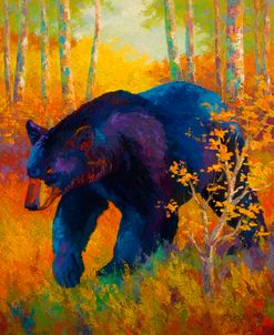 In To Spring Black Bear