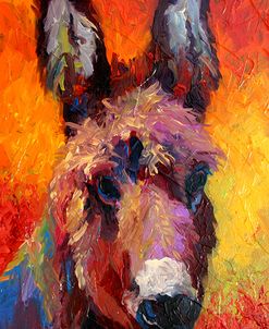 Donkey Portrait II