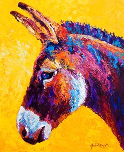Donkey Portrait III
