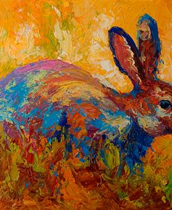 Rabbit II