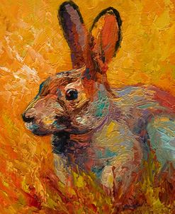 Rabbit III