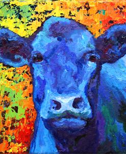 Blue Cow