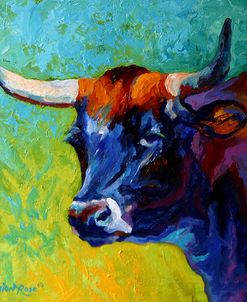 Longhorn Portrait IV