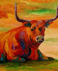 Longhorn Steer 2