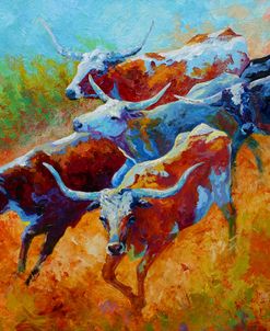 Longhorns II