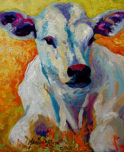 White Calf