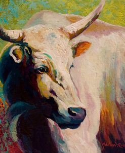 White Bull Portrait