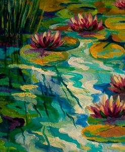 Lily Pads Ii