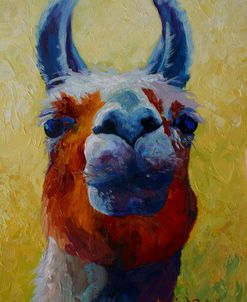 Llama I